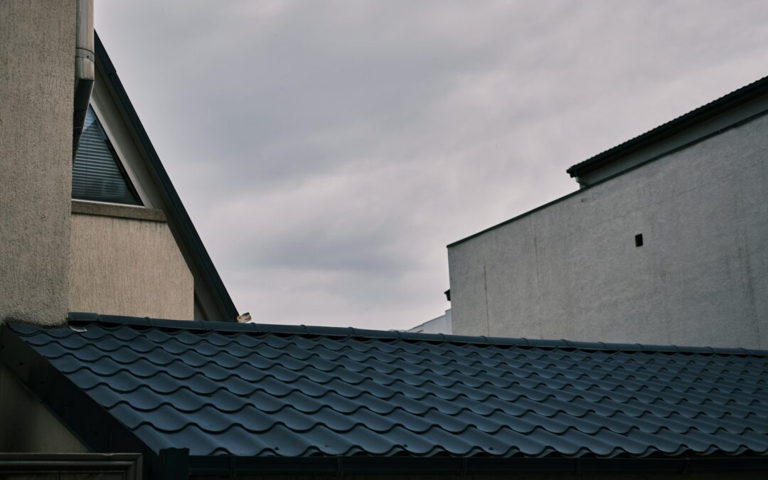 a bird is perched on the roof of a building