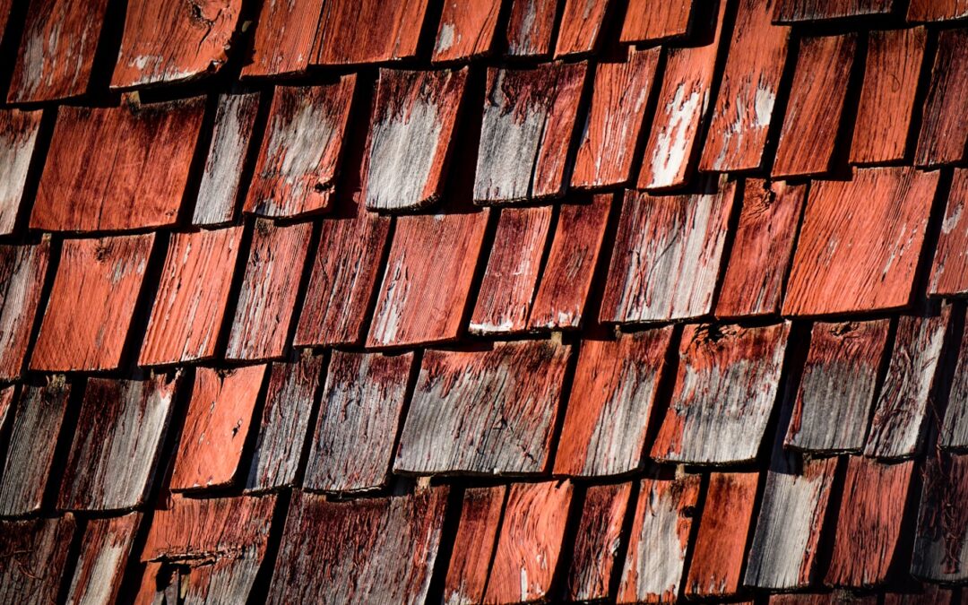 brown and black roof tiles