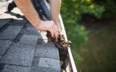 À quelle fréquence faut-il prévoir un Nettoyage toiture Boulogne Billancourt pour préserver l’état du toit ?