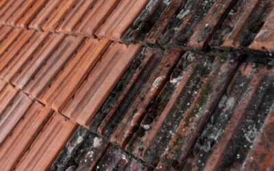 Faut-il un traitement hydrofuge après un Nettoyage toiture Boulogne Billancourt ?