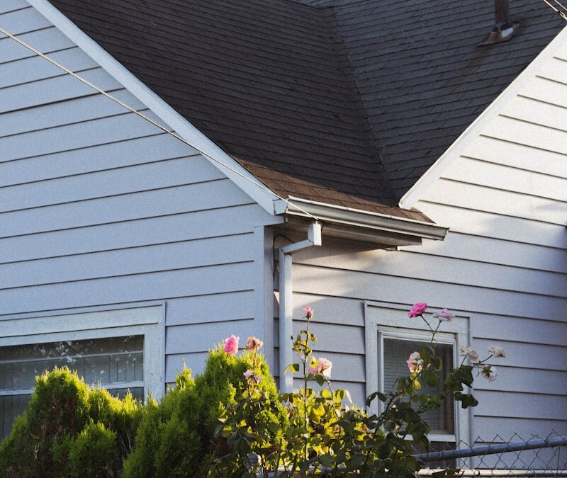 nettoyage toiture Boulogne-Billancourt