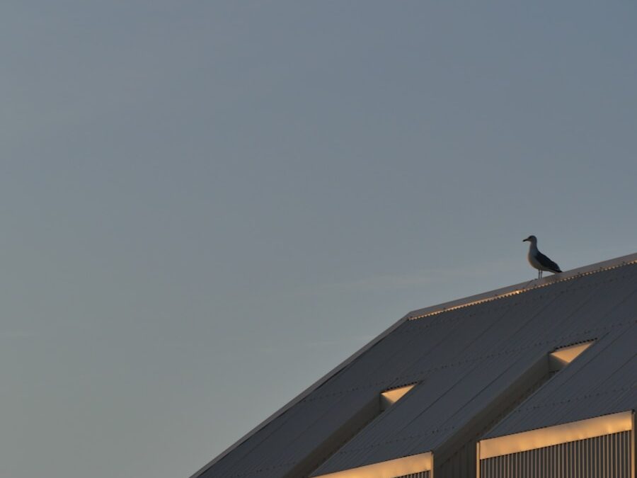 nettoyage toiture Boulogne-Billancourt